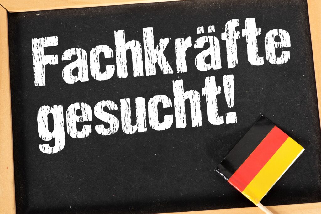 Fachkräfte, Auslandsfachkräfte