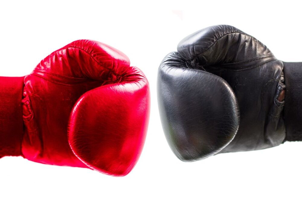 Boxhandschuhe
