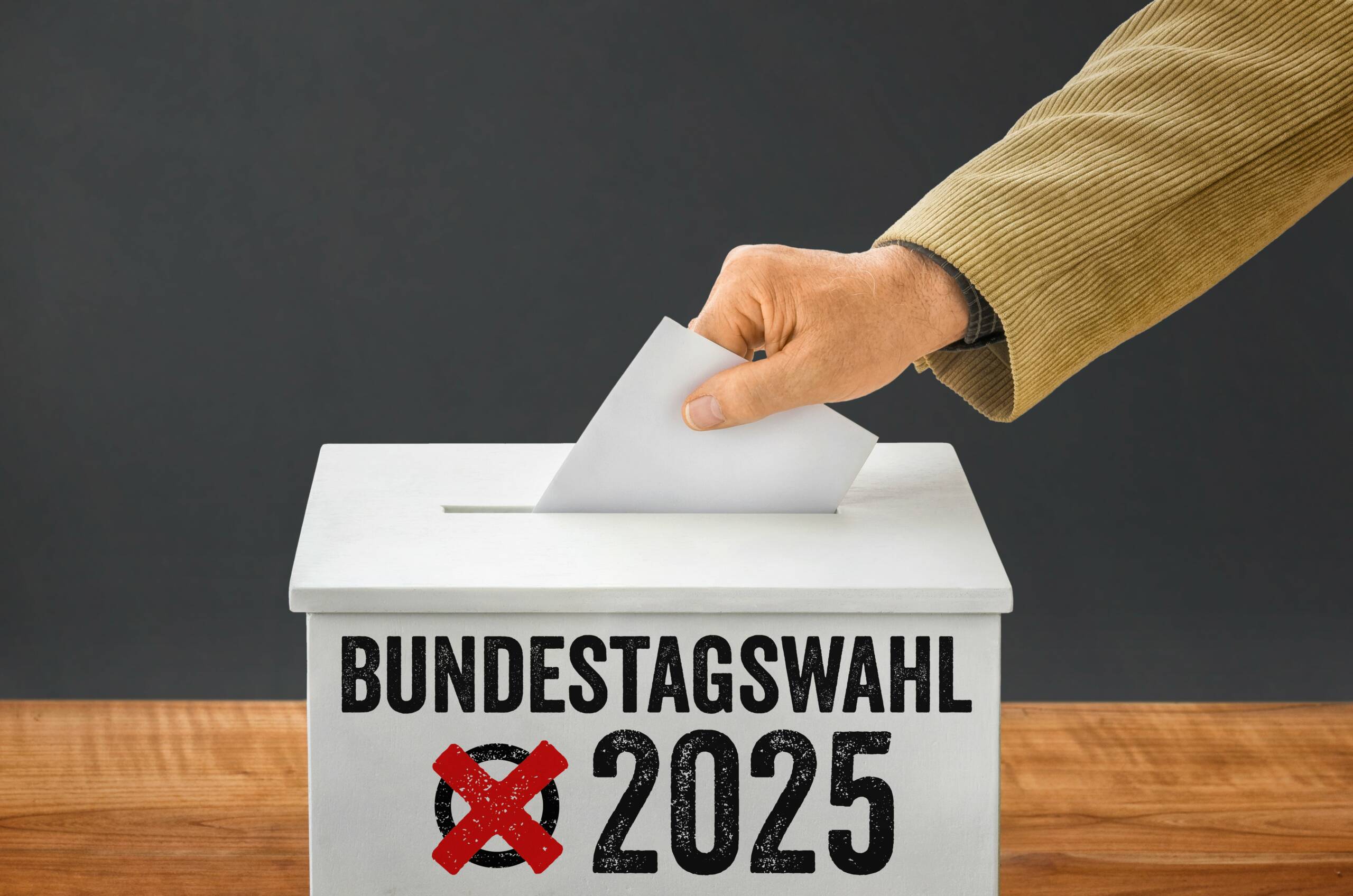 Bundestagswahl, 2025, Wahl