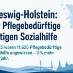 Der Anteil an auf Sozialhilfe angewiesene Pflegebedürftige steigt